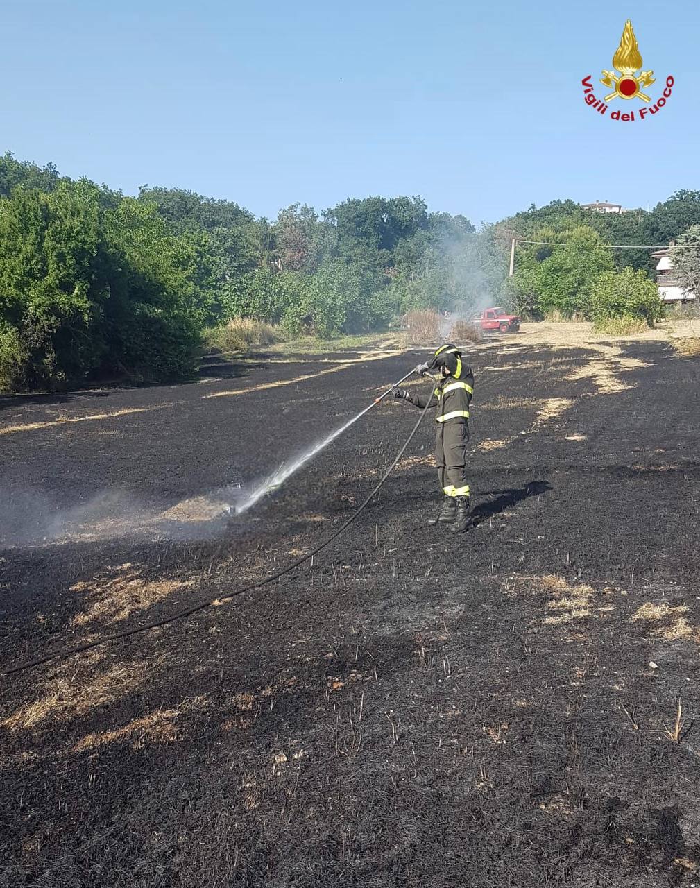 Vasto incendio – Fiamme su 7 mila metri quadrati di sterpi e fogliami