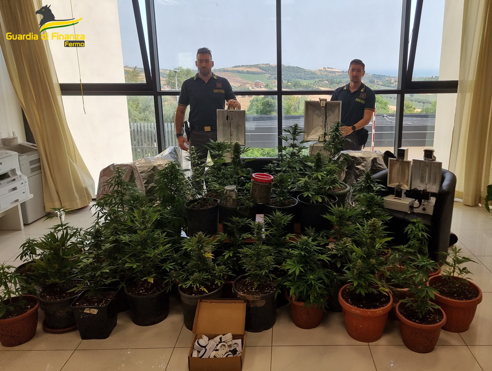 Fermo – La Guardia di Finanza scova 36 piante di marijuana