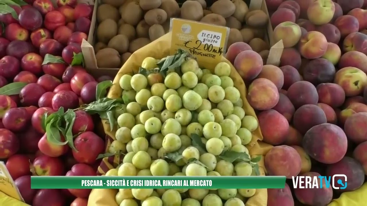 Allarme siccità: rincari sui prezzi di frutta e verdura