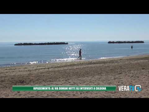 Cologna Spiaggia – Al via i lavori di ripascimento, trasportati cinquemila metri cubi di sabbia