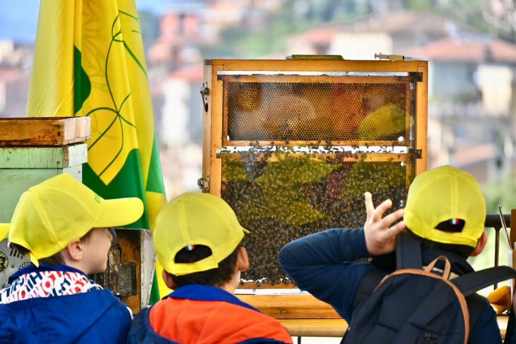 Sequestrati dai carabinieri forestali cento chili di miele al mercato di Villetta Barrea