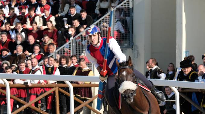 Quintana di Ascoli – Esami antidoping, positivo a una sostanza il cavallo di Porta Romana
