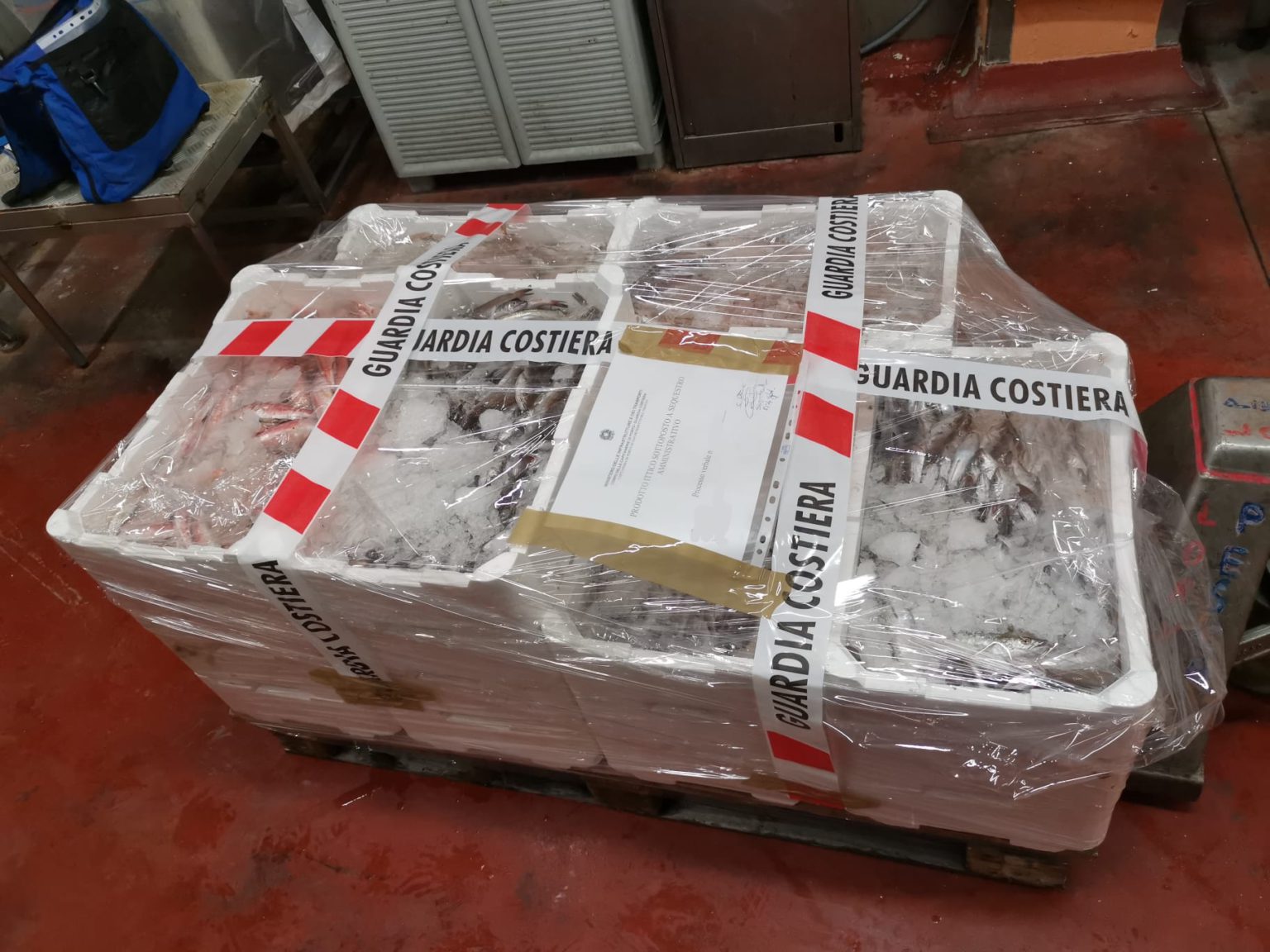 Prodotti privi di documentazione: sequestrati 45 chili di pesce a un ristorante di San Benedetto. Multa per 500 euro