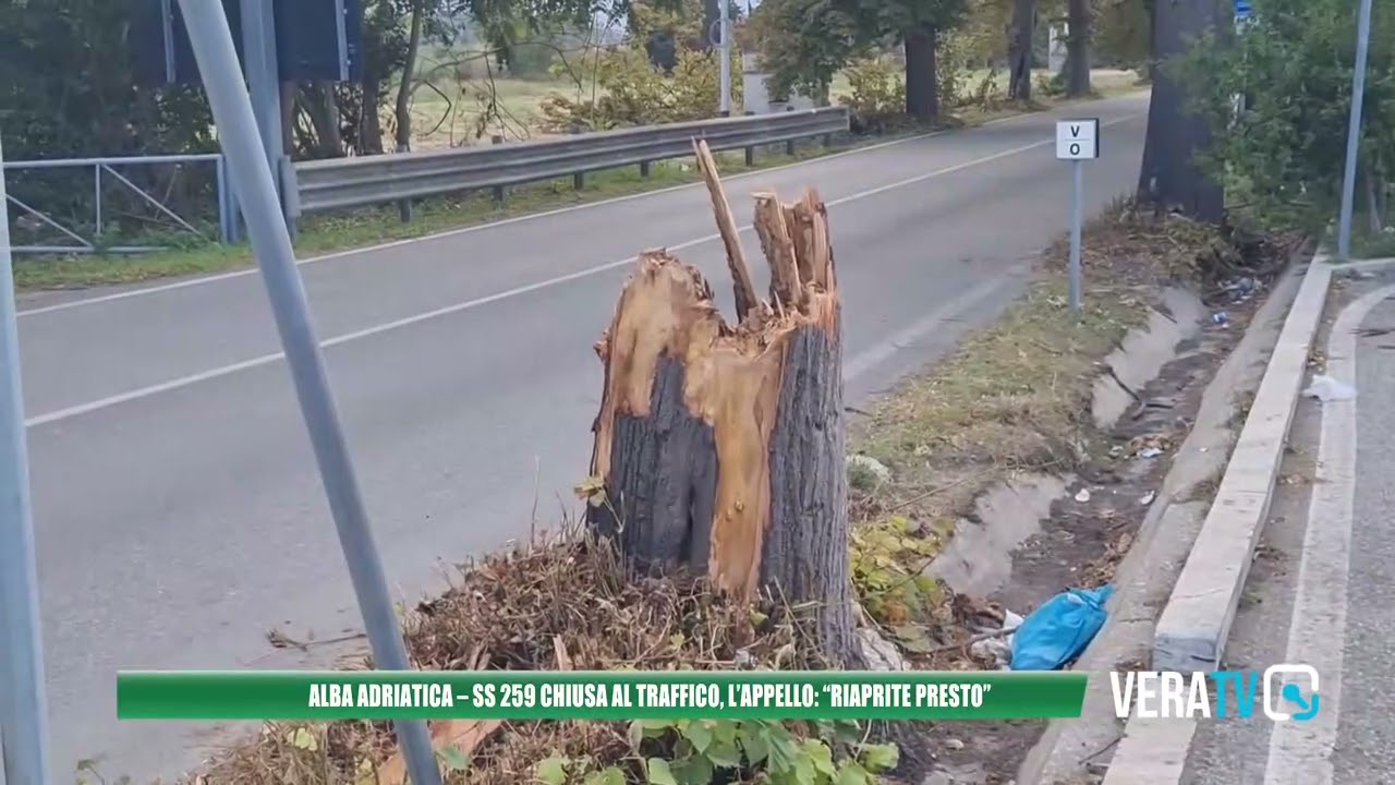 Alba Adriatica, strada statale 259 chiusa al traffico dopo la caduta di un tiglio