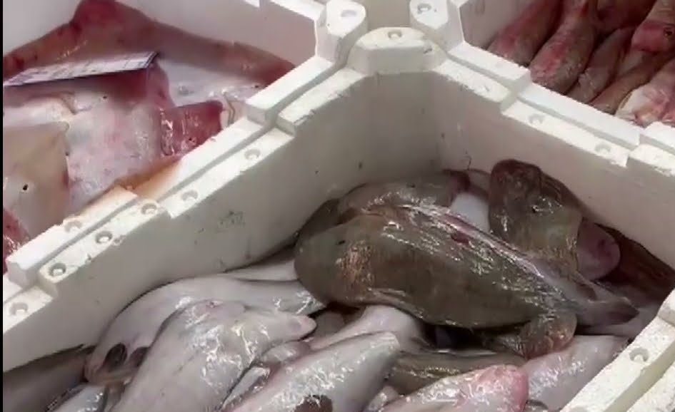 Fabriano – Carne e pesce senza etichette, multa al minimarket