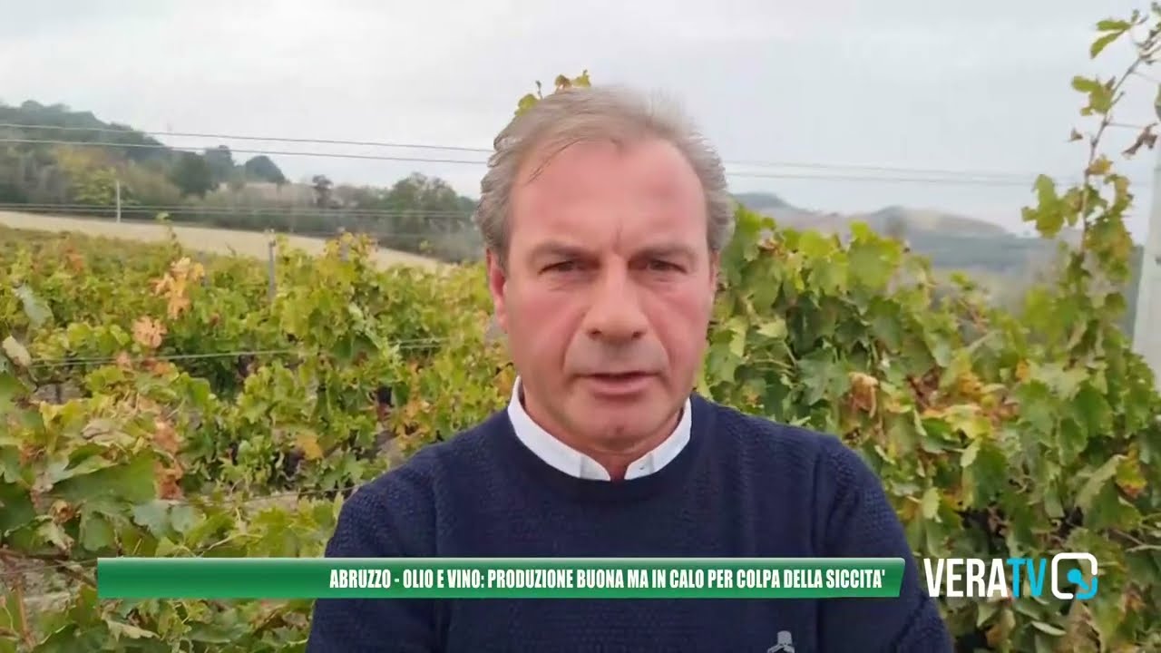 Abruzzo – Olio e vino, produzione in calo: colpa della siccità