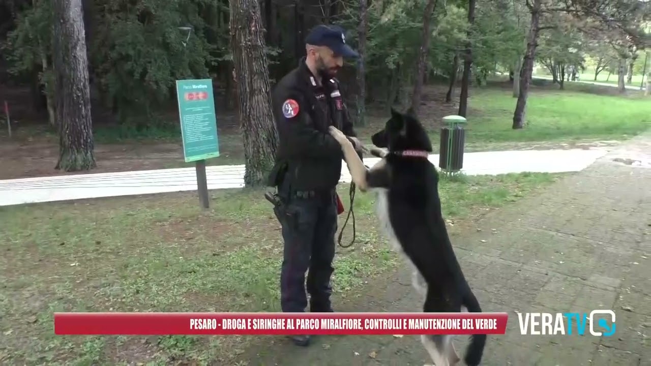 Pesaro – Droga e siringhe al Parco Miralfiore, è emergenza sicurezza