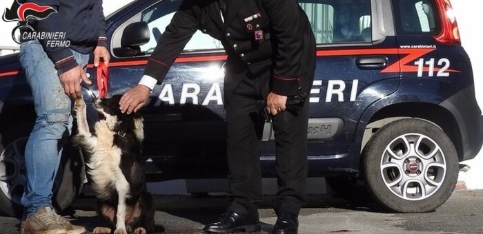 Calci e bastonate al cane del vicino, Carabinieri denunciano 70enne
