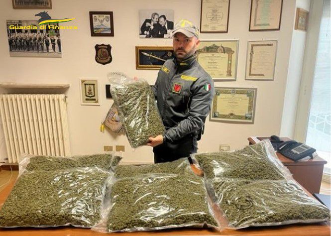 Droga, sequestrati dalla Finanza 42 chili di marijuana