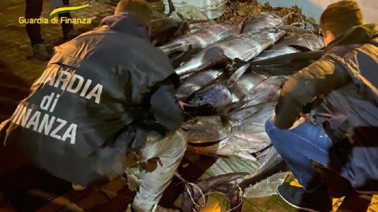 Pescara – Finanza sequestra una tonnellata di tonno rosso