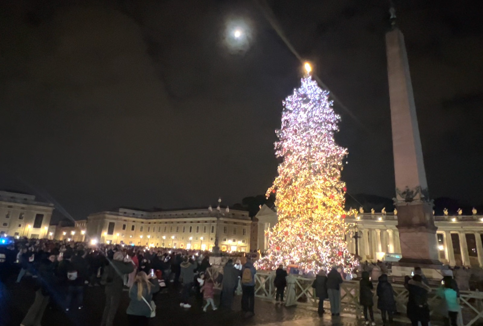 Acceso a Piazza San Pietro l’albero donato dall’Abruzzo