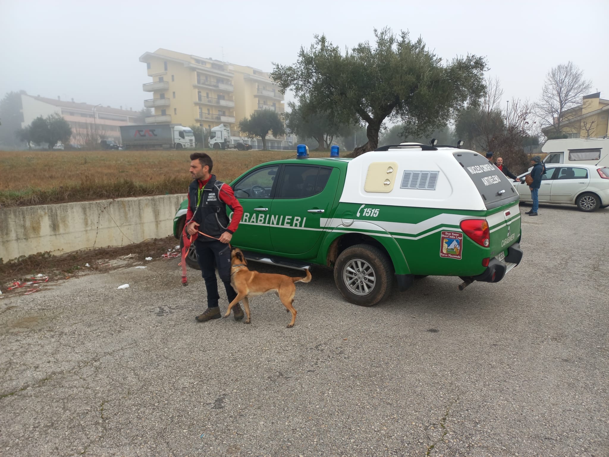 Teramo-Grano avvelenato a San Nicoló, intervengono i Carabinieri Forestali
