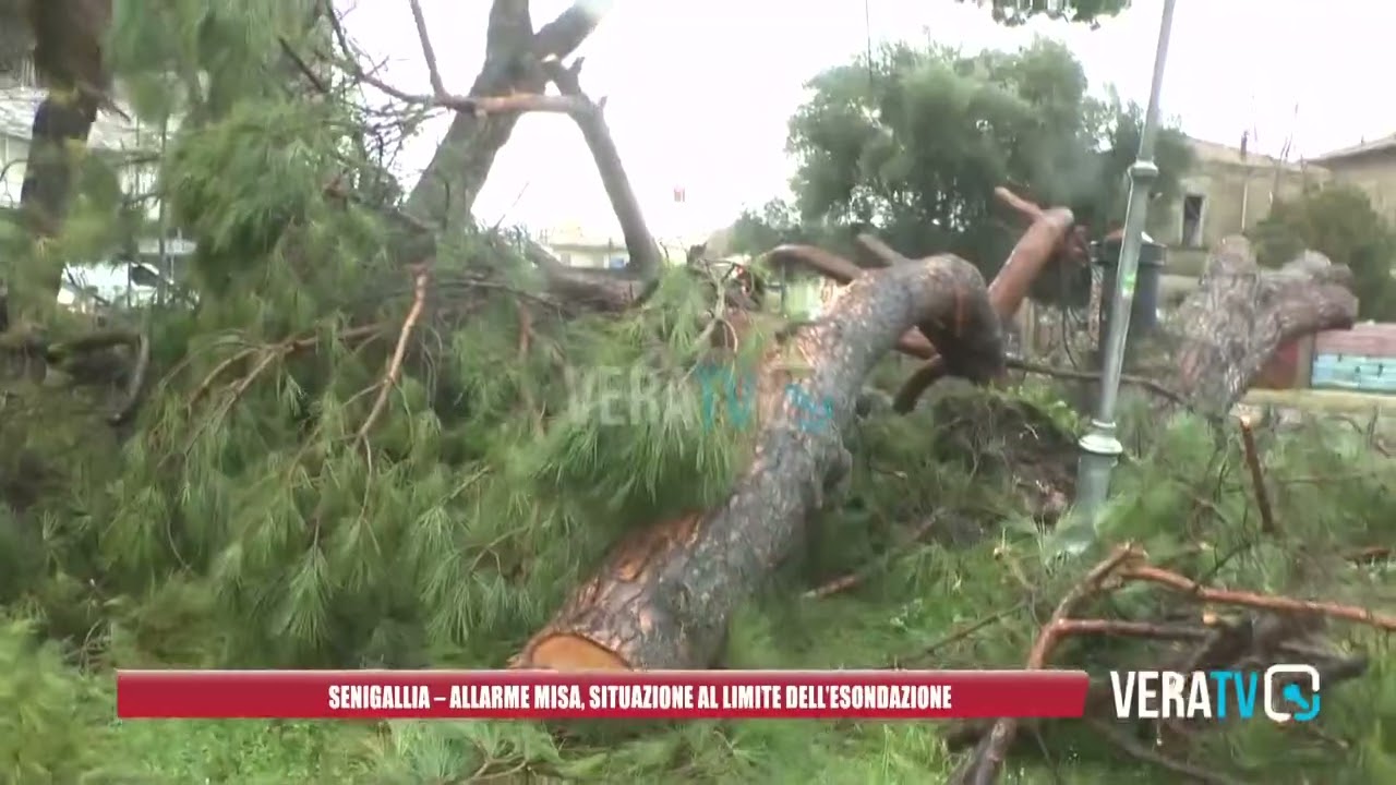 Senigallia – Maltempo, allarme Misa: situazione al limite dell’esondazione