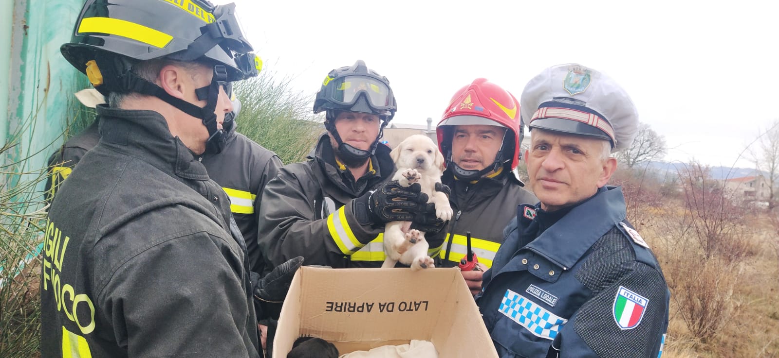 Campli – Cuccioli salvati dai vigili del fuoco a Campovalano
