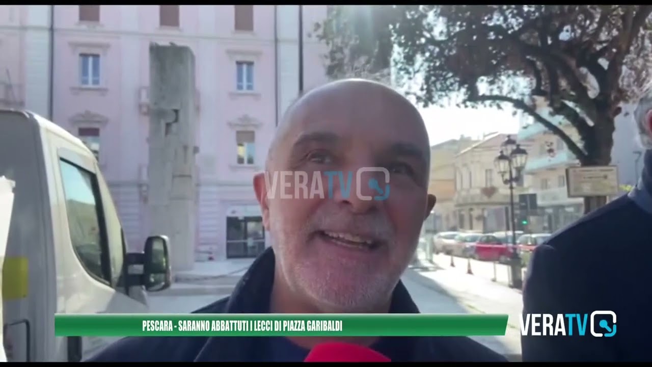 Pescara – Saranno abbattuti i lecci di piazza Garibaldi