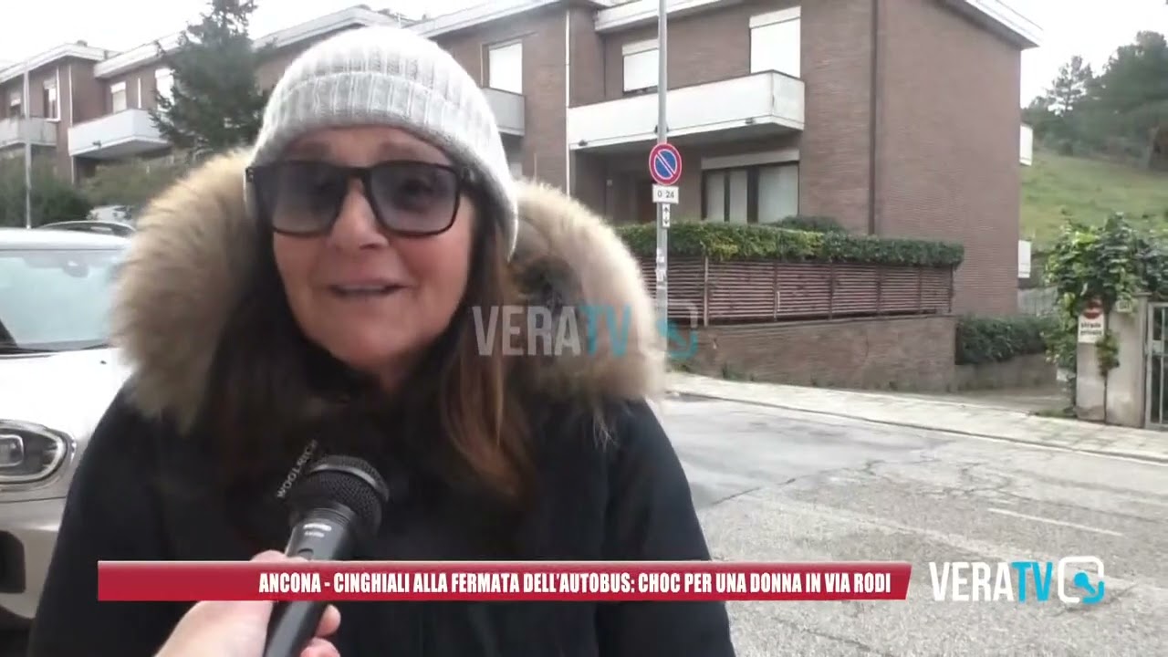 Ancona, cinghiali alla fermata dell’autobus: choc per una donna in via Rodi