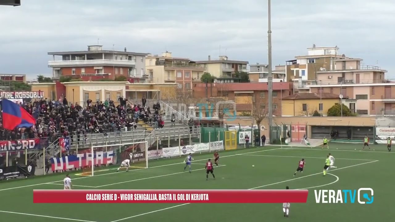 Calcio Serie D – La Vigor Senigallia batte il Termoli e ci crede ancora