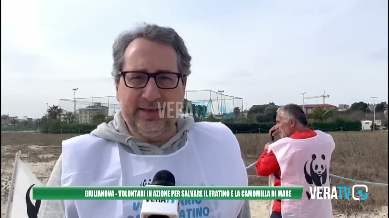 Giulianova – Volontari in azione per salvare il fratino e la camomilla di mare