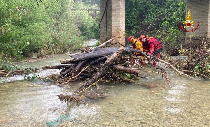 Ascoli Piceno – Rimossi alberi dal letto del Castellano