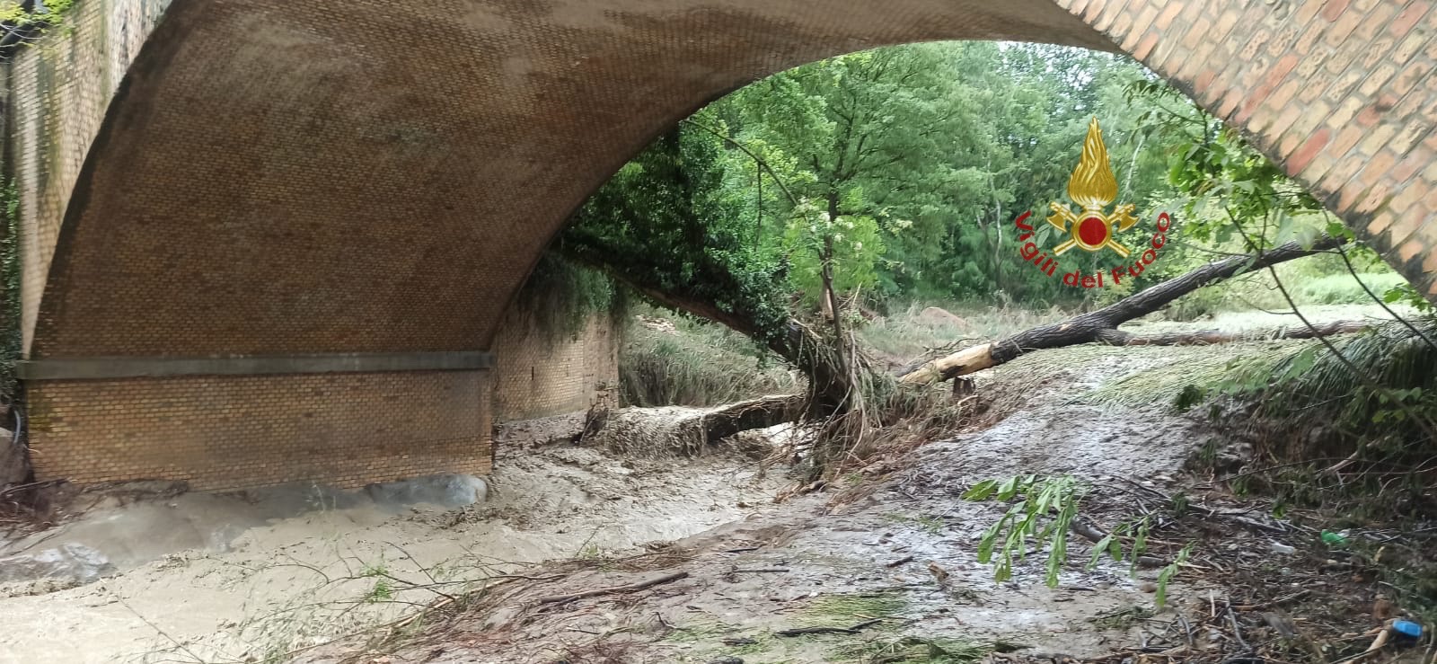 Maltempo: alberi caduti o danneggiati: gli interventi sul territorio di Pescara dei Vigili del Fuoco