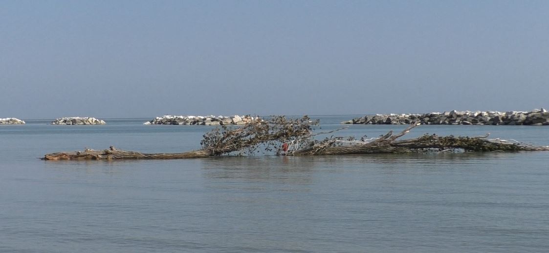 Pesaro – Maltempo, erosione e tronchi nelle spiagge, stagione in ritardo