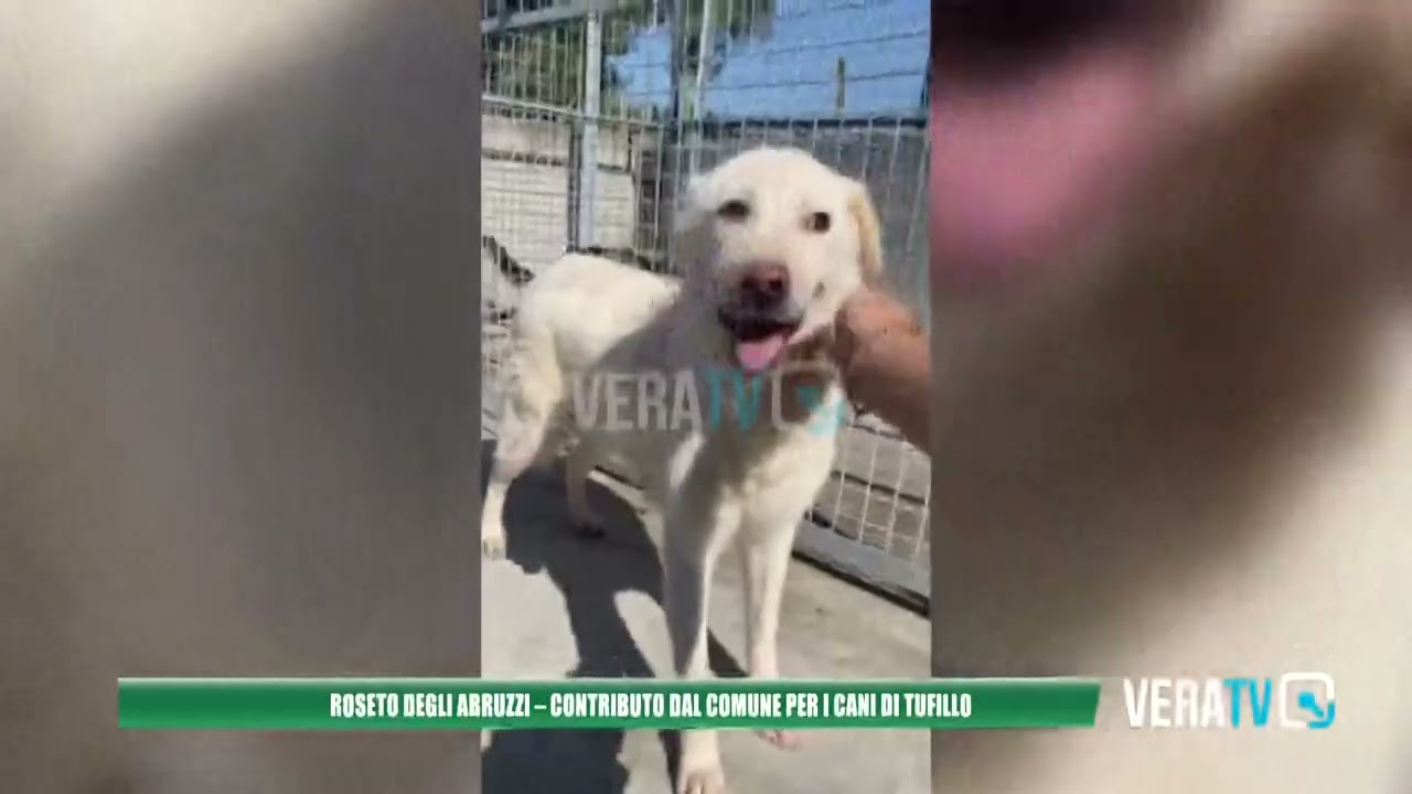 Roseto degli Abruzzi – Contributo dal Comune per salvare i cani di Tufillo