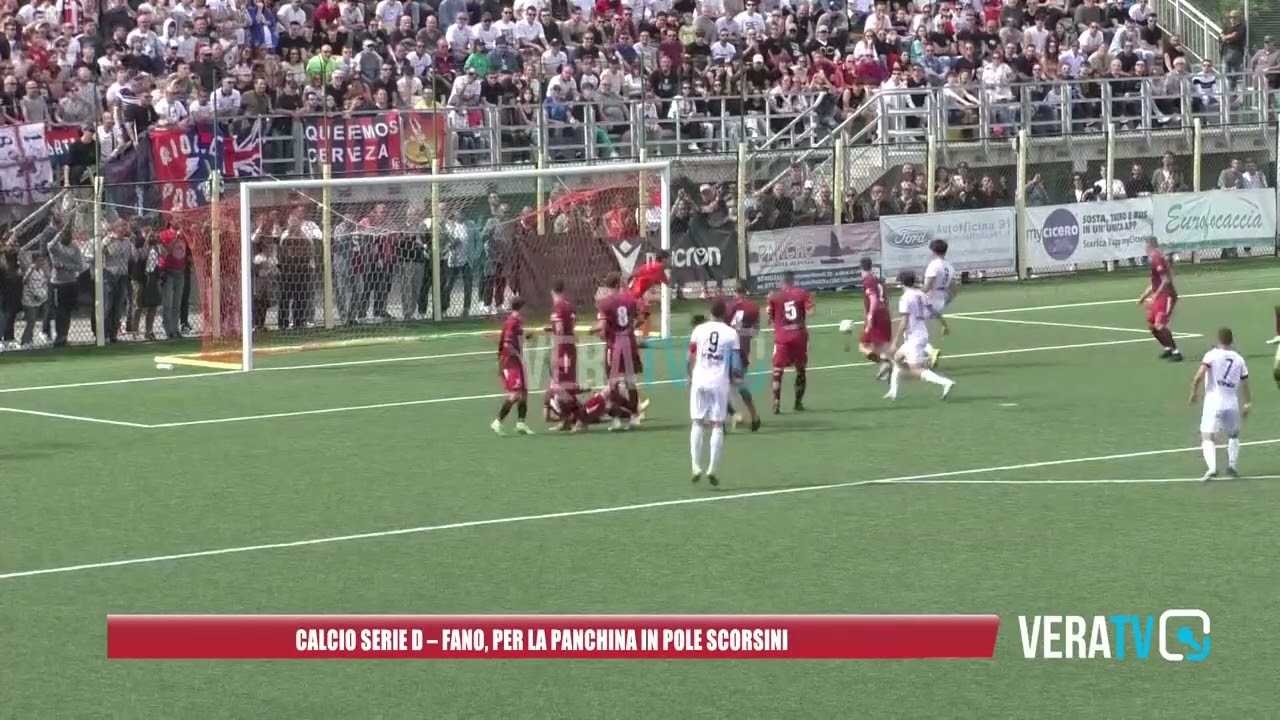 Calcio Serie D – Fano, per la panchina è caldo il nome di Scorsini