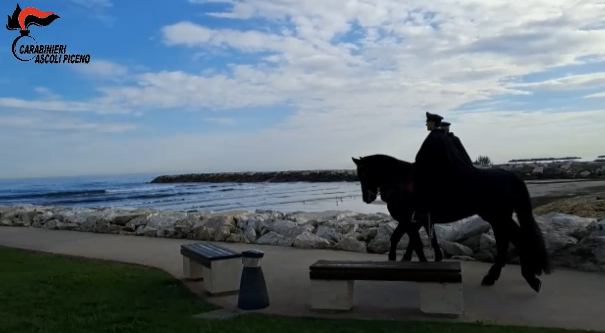 Ascoli Piceno – Tornano i carabinieri a cavallo, pattuglie anche in Riviera