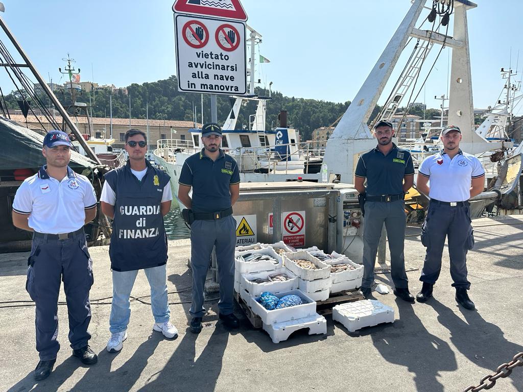 Ancona – Vendita abusiva prodotti ittici: finanza sequestra 100 chili di pesce