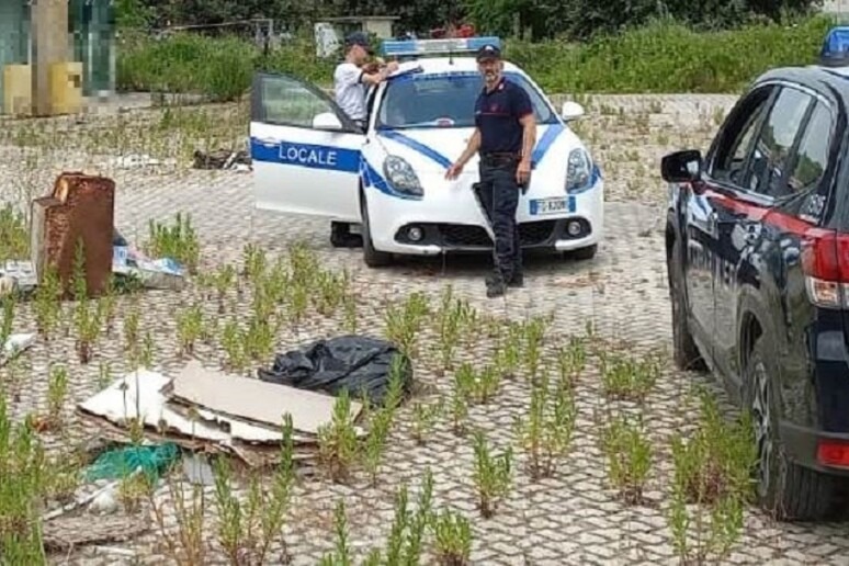 Rifiuti speciali abbandonati: maxi sequestro di carabinieri e polizia locale