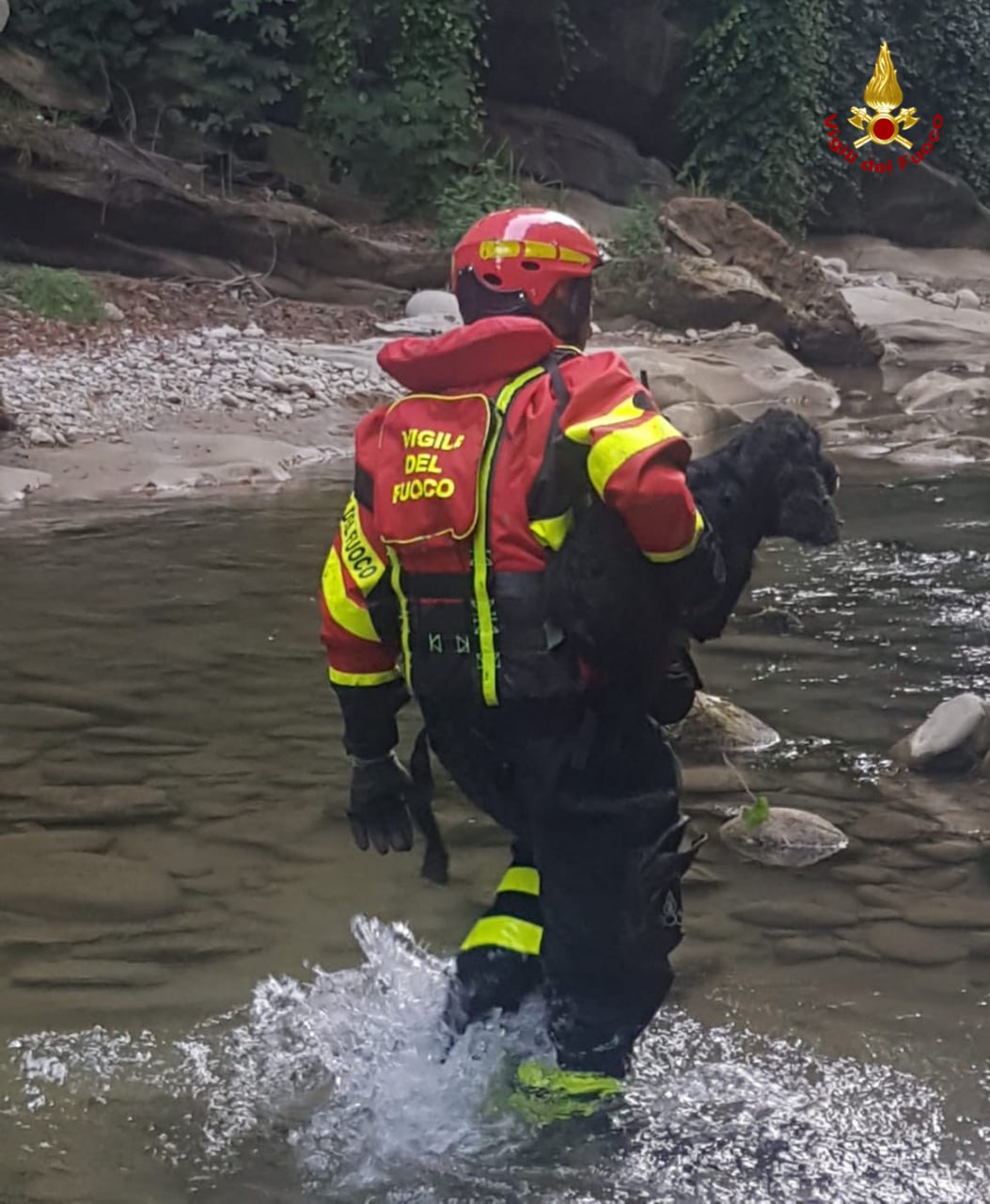 Cade dal ponte e finisce nel torrente Fluvione, salvato un cane