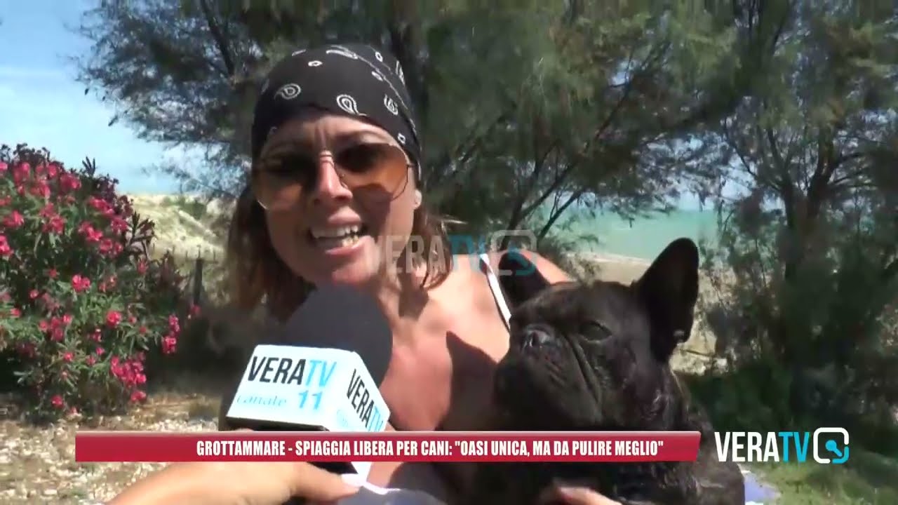 Grottammare – Dog beach, i turisti: “Unica spiaggia libera per cani, ma serve più pulizia”