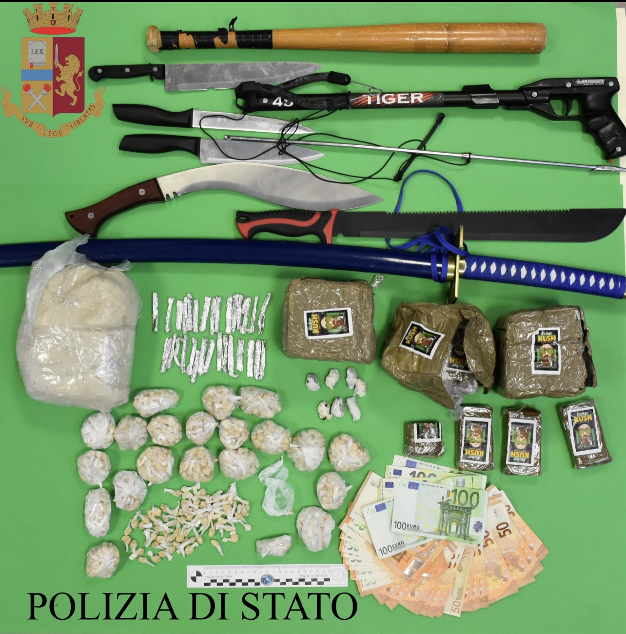 Duro colpo al narcotraffico nel Fermano, 11 misure cautelari, 13 perquisizioni domiciliari, sequestrati 3 chili di droga e due molossoidi