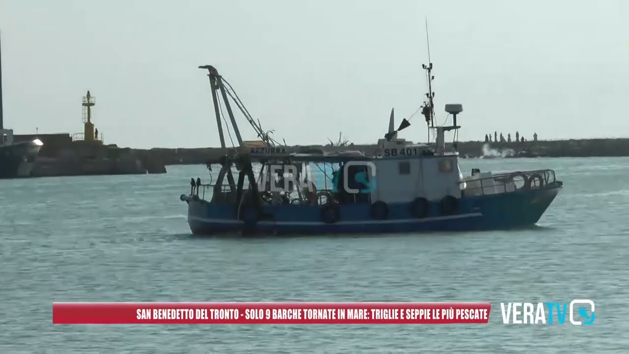 San Benedetto – Primo giorno di pesca dopo lo stop, solo 9 barche in mare causa maltempo