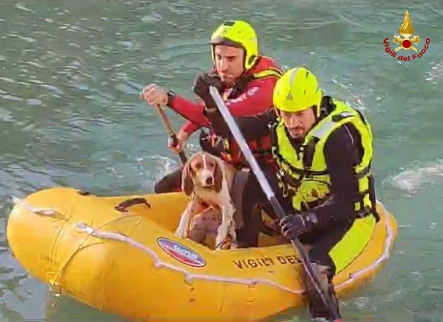 Cane ferito cade sulle sponde del lago Talvacchia, salvato dai vigili del fuoco