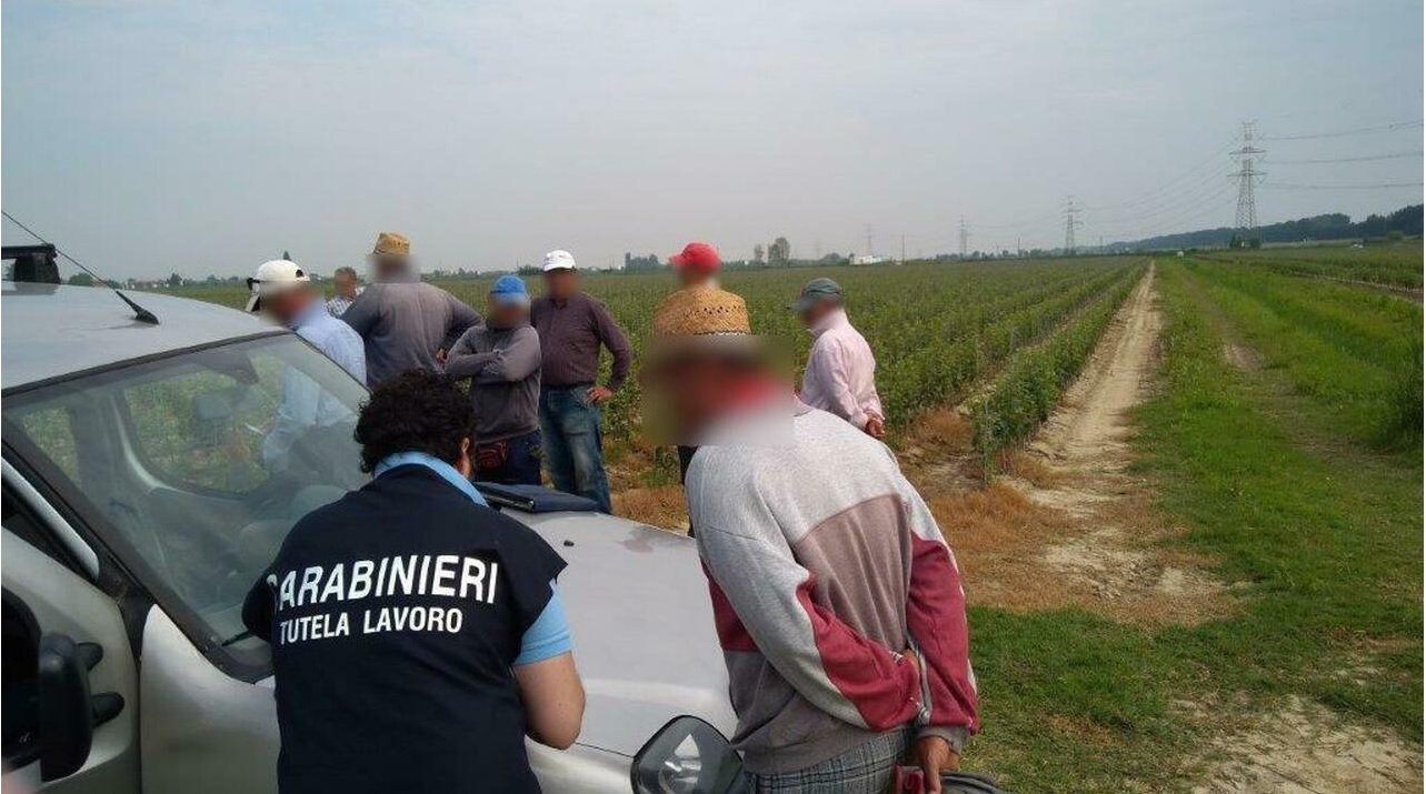 Caporalato nei campi tra Maceratese, Anconetano e Pesarese: tre arrestati