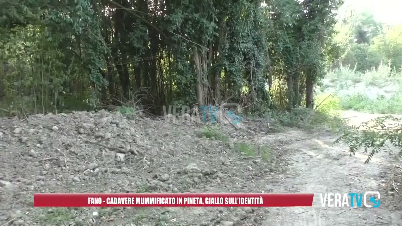 Fano – Cadavere mummificato in pineta, giallo sull’identità