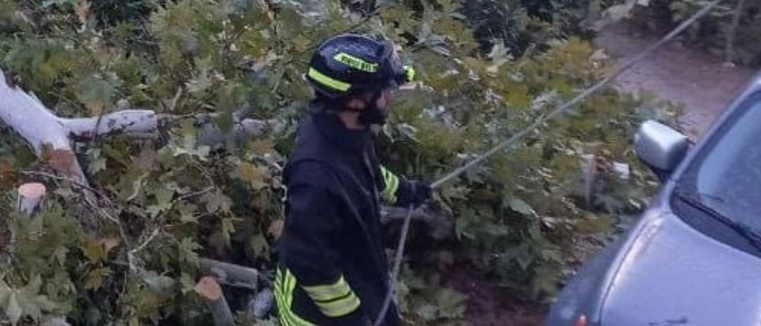 Maltempo – Vento forte, a Fabriano chiusi parchi e una palestra