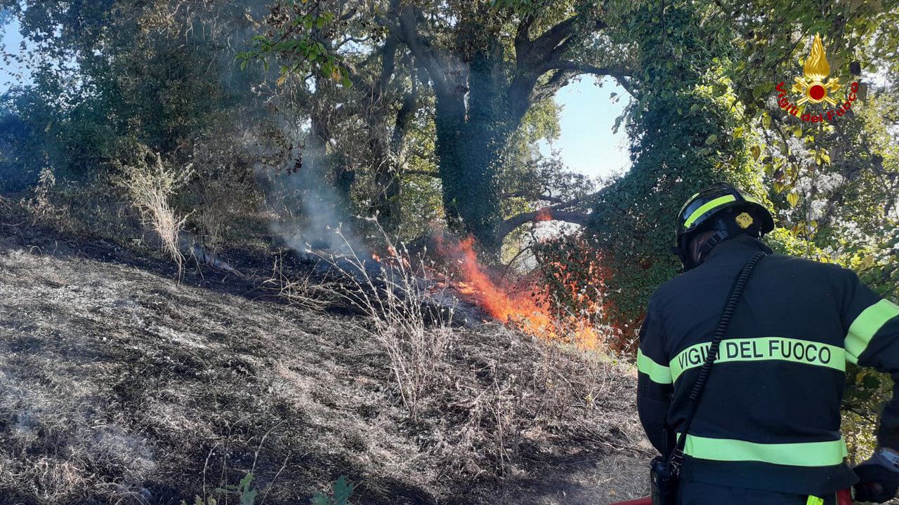 Le fiamme divorano 10 ettari di terreno, paura per la vicine abitazioni