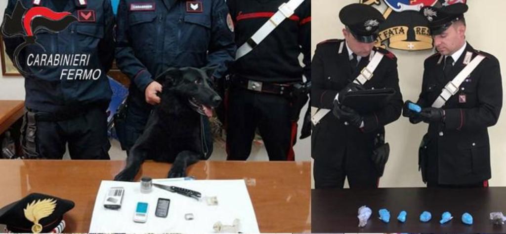 Blitz dei carabinieri con cani antidroga: denunciati e segnalati diversi giovani