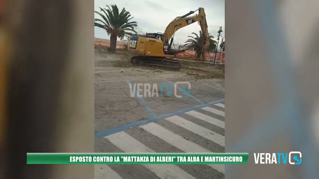 Esposto contro la “mattanza di alberi” tra Alba e Martinsicuro