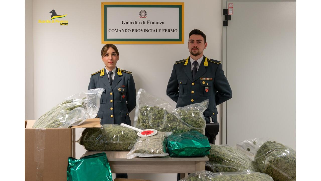Guardia di Finanza sequestra 52 chili di marijuana