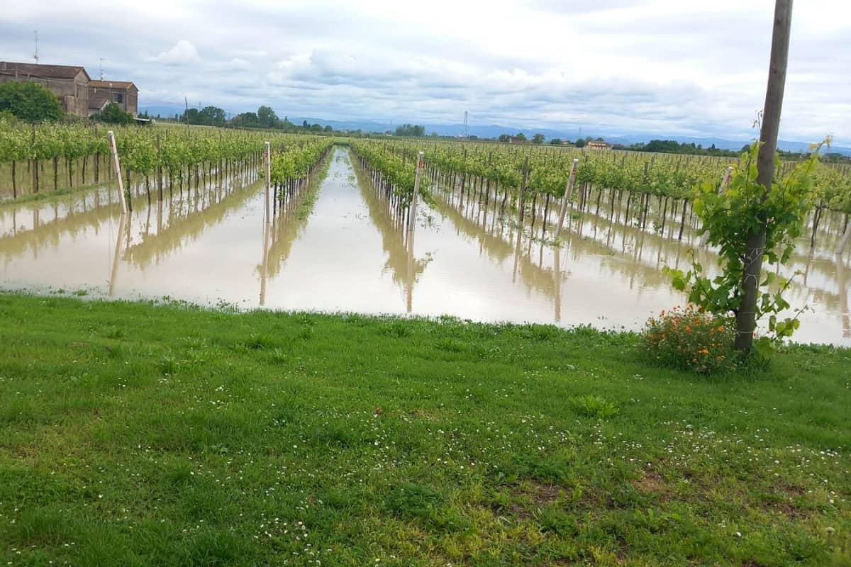 Alluvione 2023, online il portale per chiedere i rimborsi alla Regione Marche